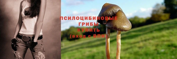 марки nbome Нефтегорск