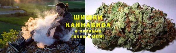 гидропоника Нефтекумск