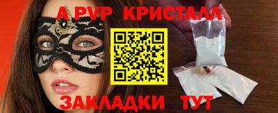 СК Кингисепп