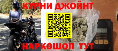 СК Кингисепп