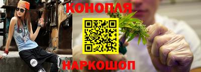 СК Кингисепп
