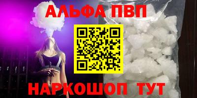 СК Кингисепп