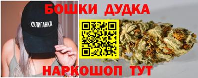 СК Кингисепп
