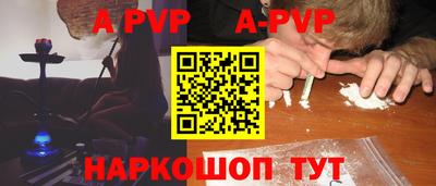 СК Кингисепп
