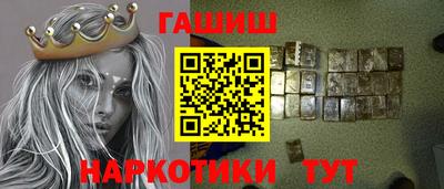 СК Кингисепп