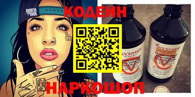 СК Кингисепп