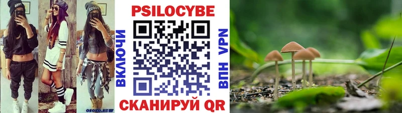 купить закладку  Кстово  Галлюциногенные грибы прущие грибы 