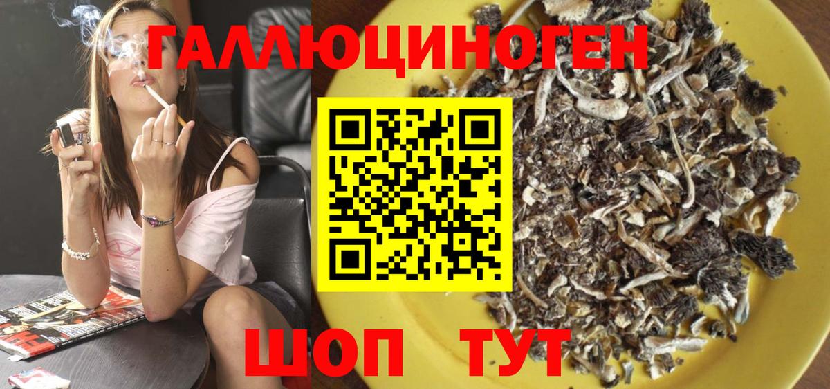 Псилоцибиновые грибы Cubensis  Кстово 