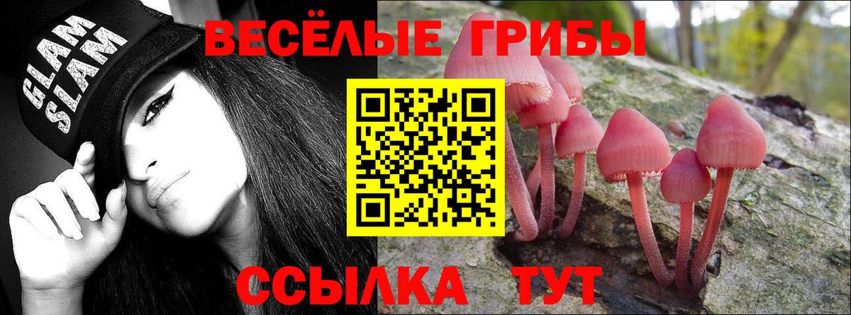 Галлюциногенные грибы MAGIC MUSHROOMS Кстово